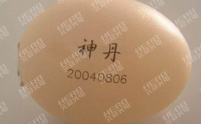 1545188200147207.jpg 未標題-2 拷貝3.jpg